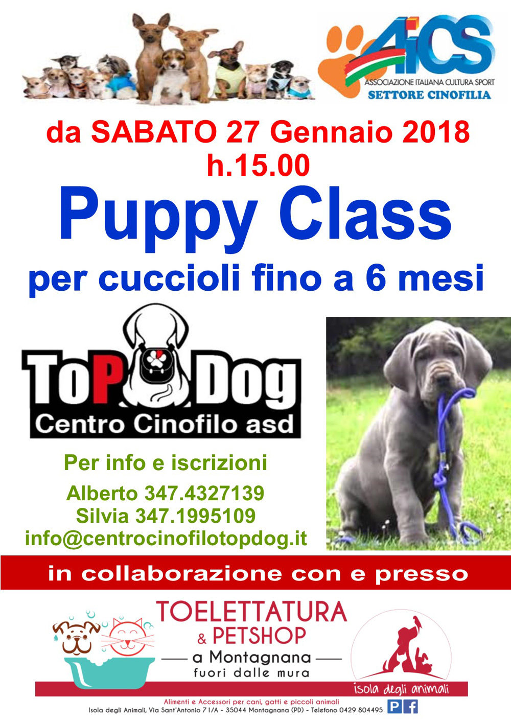 Puppy Class 18 Gennaio